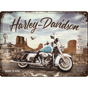 Harley-Davidson - Born to Ride kyltti