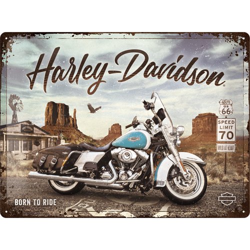 Harley-Davidson - Born to Ride kyltti