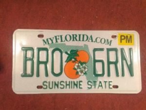 Florida rekisterikilpi