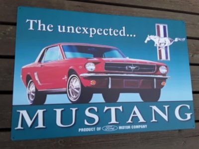 Mustang xxxl koko
