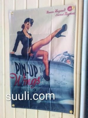 Pin Up Wings Lippu