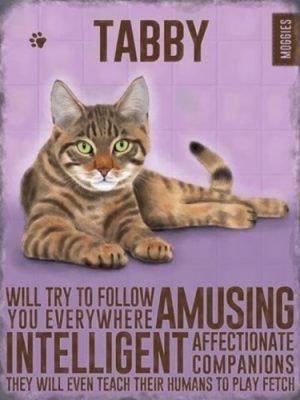 Tabby kissa metallikyltti