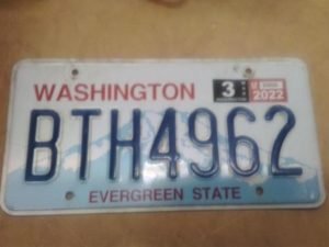 Washington rekisterikilpi
