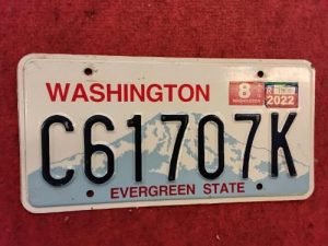 Washington rekisterikilpi